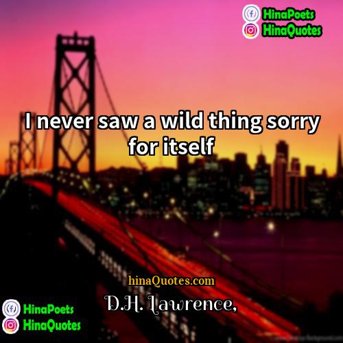 DH Lawrence Quotes | I never saw a wild thing sorry